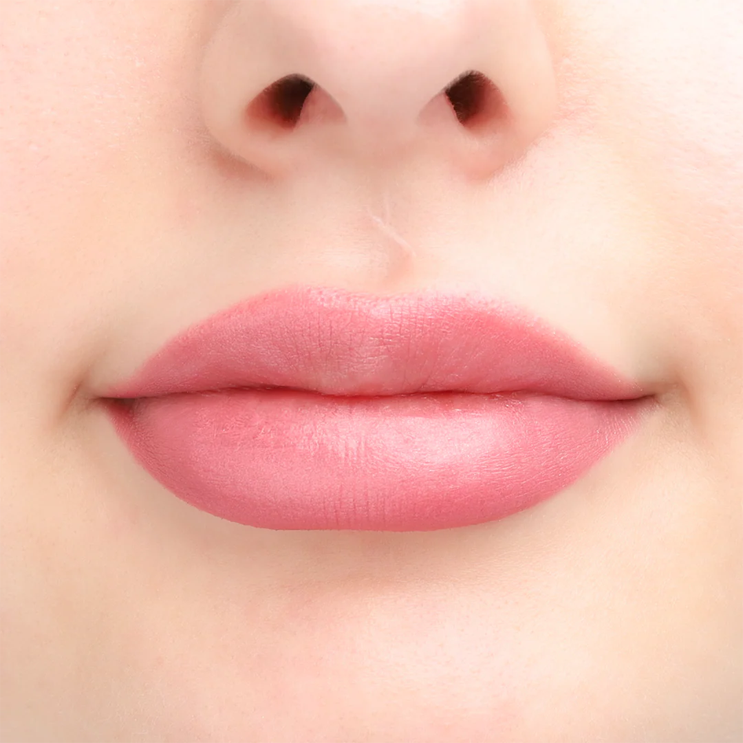 202 - Lipliner Azalea - Image 4